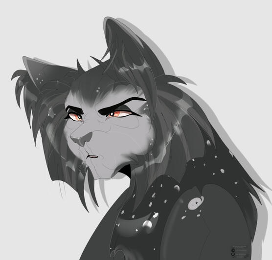 Bust Flat